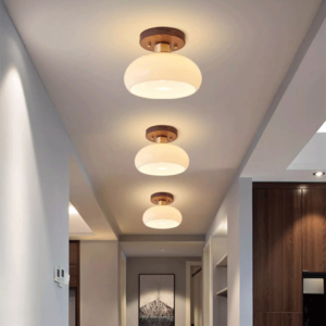 ceiling light manufacturer china wholesale – Iris Lighting